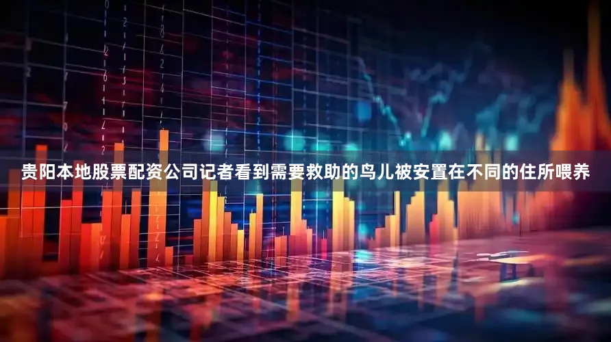 贵阳本地股票配资公司记者看到需要救助的鸟儿被安置在不同的住所喂养