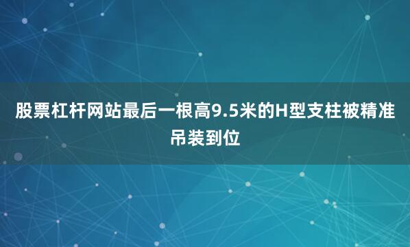 股票杠杆网站最后一根高9.5米的H型支柱被精准吊装到位
