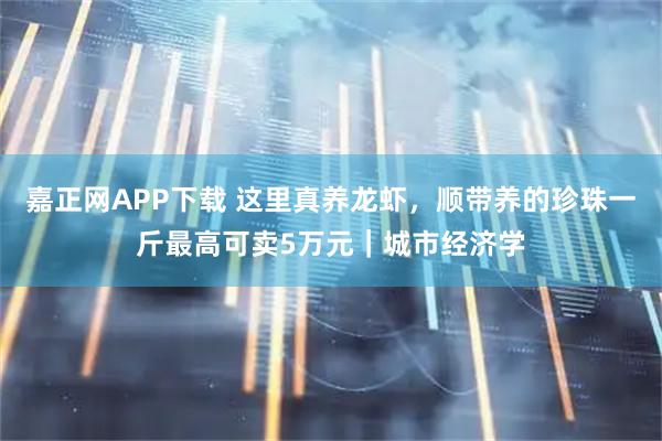 嘉正网APP下载 这里真养龙虾，顺带养的珍珠一斤最高可卖5万元｜城市经济学