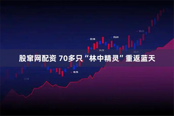 股窜网配资 70多只“林中精灵”重返蓝天