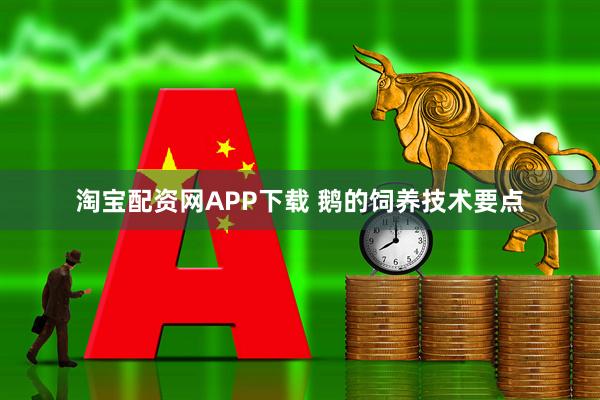淘宝配资网APP下载 鹅的饲养技术要点