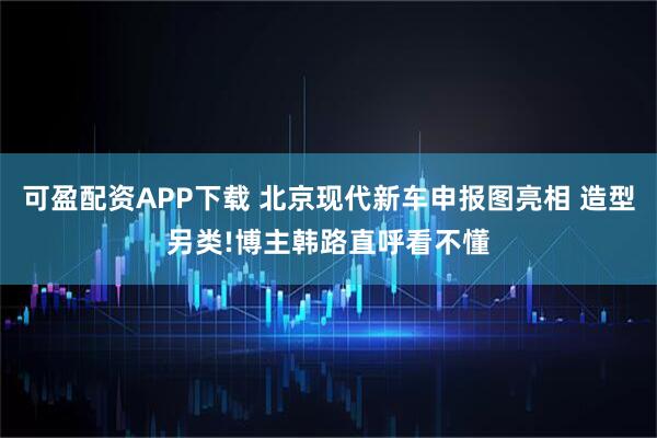可盈配资APP下载 北京现代新车申报图亮相 造型另类!博主韩路直呼看不懂